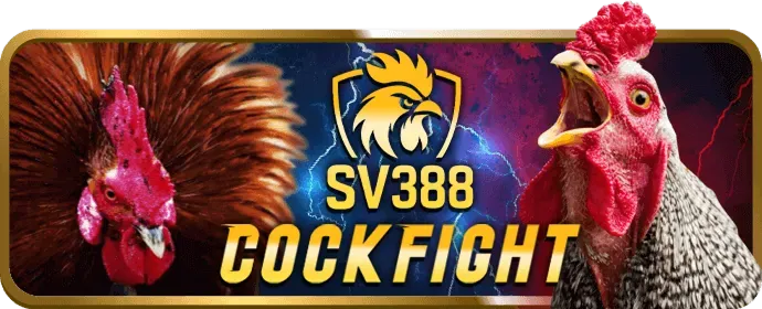 Ưu đãi hoàn trả vb777